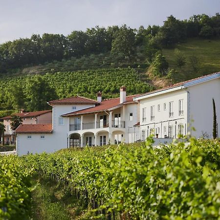 Peterc Vineyard Estate Bed & Breakfast Kojsko Ngoại thất bức ảnh