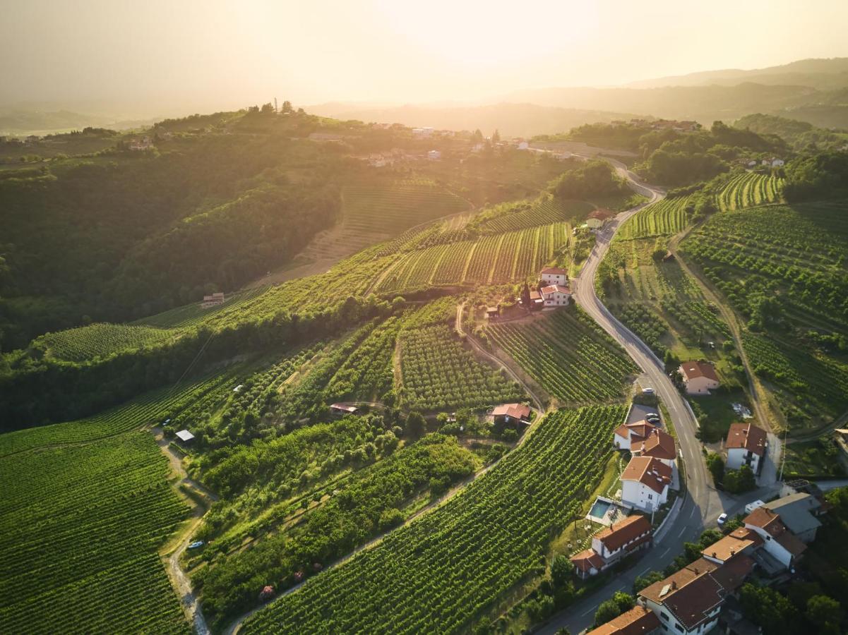 Peterc Vineyard Estate Bed & Breakfast Kojsko Ngoại thất bức ảnh