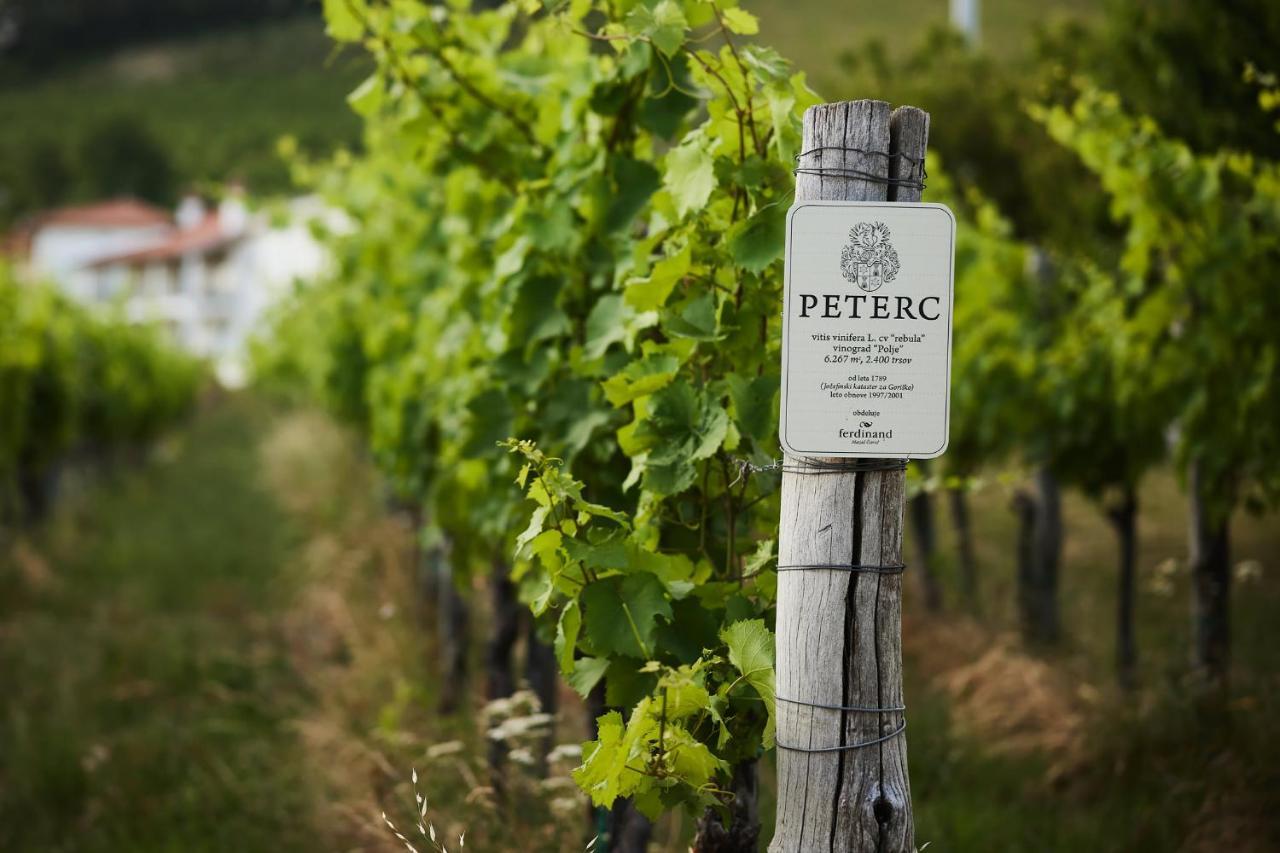 Peterc Vineyard Estate Bed & Breakfast Kojsko Ngoại thất bức ảnh