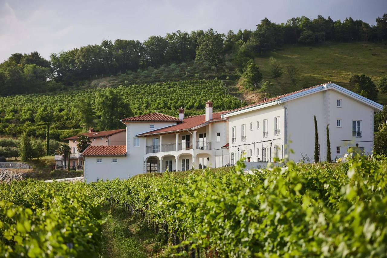 Peterc Vineyard Estate Bed & Breakfast Kojsko Ngoại thất bức ảnh
